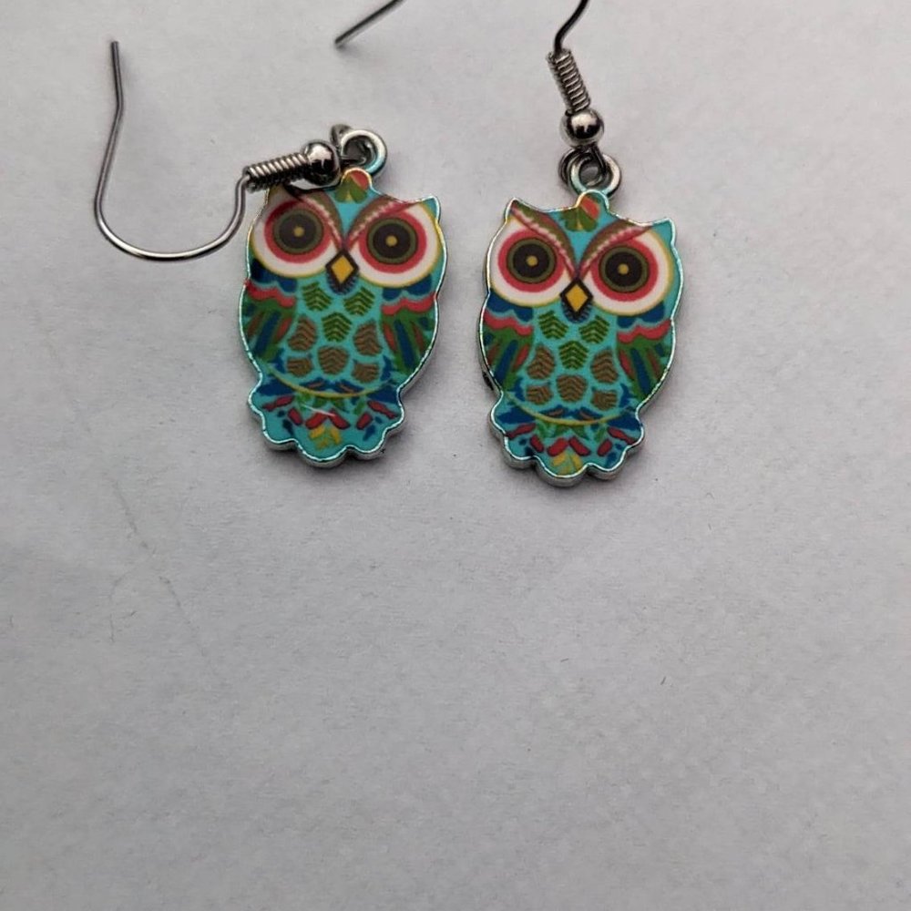 Multi Colored Owl Earrings